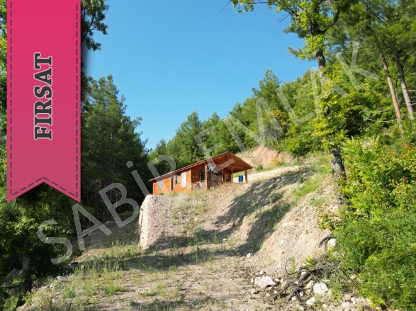 Üzümlü Mah. Alanya Satılık Tarla |  1+1 Oda | 695M2 3.300.000Tl | Müstakil | Soba | 1 Banyo | 1 Yatak Odası Resim-4