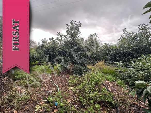 Şıhlar Mah. Alanya Satılık Tarla |  403M2 18.500€ İmarlı  Resim-4