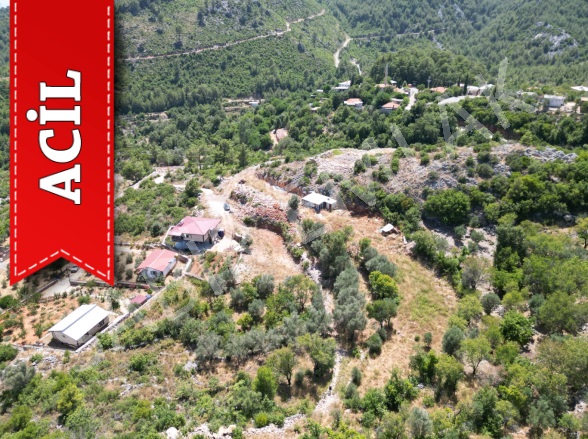 Asmaca Mah. Alanya Acil Satılık Tarla |  212M2 600.000Tl Resim-2