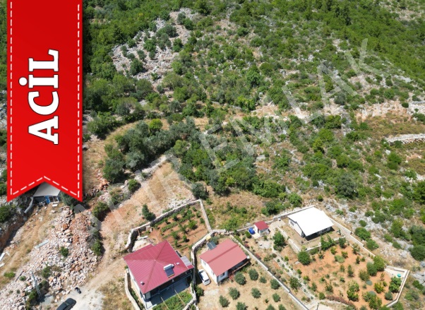 Asmaca Mah. Alanya Acil Satılık Tarla |  212M2 600.000Tl Resim-4