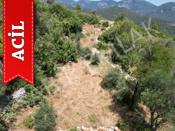 Asmaca Mah. Alanya Acil Satılık Tarla |  212M2 600.000Tl Resim-5