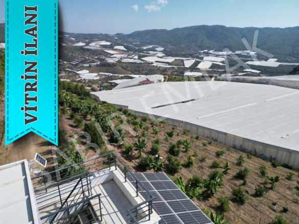 Alanya Satılık Müstakil Ev Ve Bahçesi Özvadi Köyünde 2+1 Mah