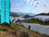 Alanya İmamlı Köyünde Satılık Tarla Yola Sıfır Mah 900 M2