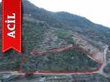 Alanya Satılık Tarla Süleymanlar Mah Fırsat Lanı 4250 M2