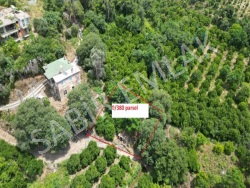 Alanya Oba Mah. Satılık Arsa 474 M2