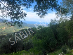 Alanya Mahmutseydi Mah. Satılık Tarla 169 M2