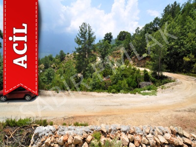 Alanya Üzümlü Acil Satılık Tarla Yola Sıfır Yatırımlık Mah