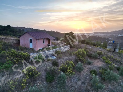 Alanya Satılık Tarla Demirtaş Deniz Manzaralı Beyreli Mah