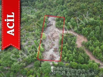 Alanya Şıhlar Acil Satılık Tarla Yatırımlık Fırsat İlanı Mah