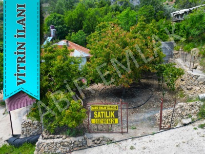 Alanya Şıhlar Satılık Tarla Avokado Bahçesi Yola Sıfır Mah