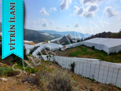 Alanya İmamlı Köyünde Satılık Tarla Yola Sıfır Mah