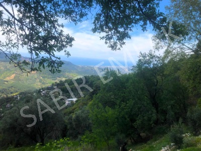 Alanya Satılık Tarla Deniz Ve Doğa Manzaralı Mahmutseydi Köyünde Mah