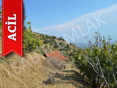 Aydın Efeler Egrikavak Acil Satılık Tarla Doğa Manzaralı Eğrikavak Mah