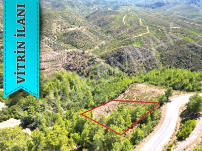 Alanya Fakırcalı Satılık Tarla Doğa Manzaralı Mah