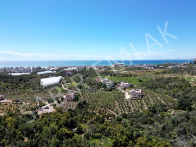 Alanya Kestelde Satılık Arsa İmarlı Deniz Ve Doğa Manzaralı Kestel Mah