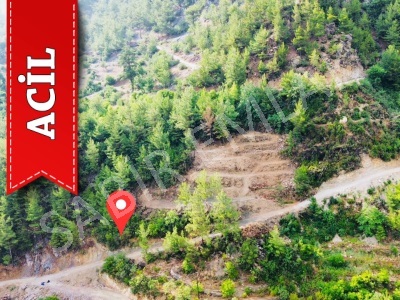 Alanya Satılık Tarla Uygun Fiyata Alacami Acil Mah
