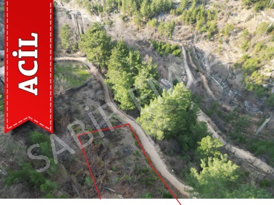 Alanya Acil Satılık Tarla Dimalacami Köyünde Fırsat İlanı Alacami Mah