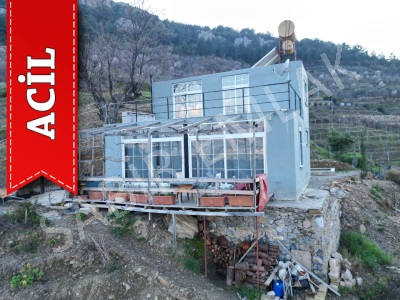 Alanya Acil Satılık Müstakil Ev 3+1 Fakırcalı Köyünde Havuzlu Mah