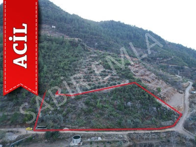 Alanya Acil Satılık Tarla Süleymanlar Mah Fırsat Lanı