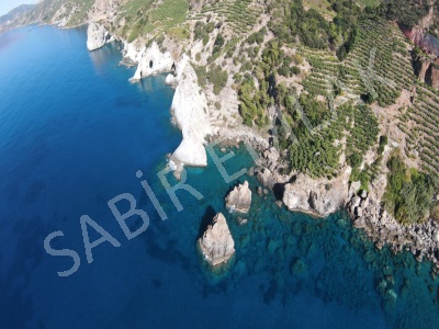 Gazipaşa Satılık Tarla Muzkent Denize Sıfır Muhteşem Fırsat Mah