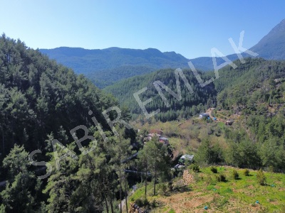 Satılık Tarla – Alanya Fakırcalı Köyü 4050 M2 Mah