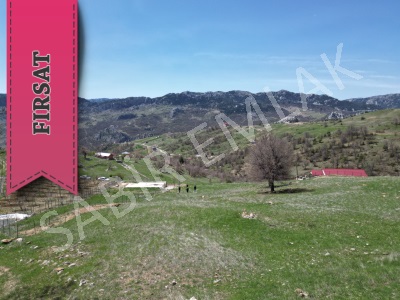 Alanya Satılık Tarla Özvadi Yaylasında 1 911 M2 Yola Sıfır Mah