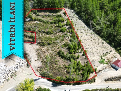 Alanya Satılık Tarla Sapadere Köyünde Yola Sıfır Fırsat Mah