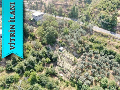 Alanya Satılık Tarla Hobi Bahçesi Türktaş Mah