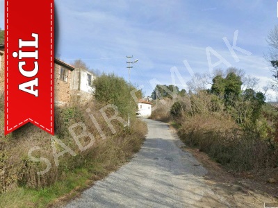 Alanya Acil Satılık Tarla Yeniköy Mahallesi Yola Sıfır Mah