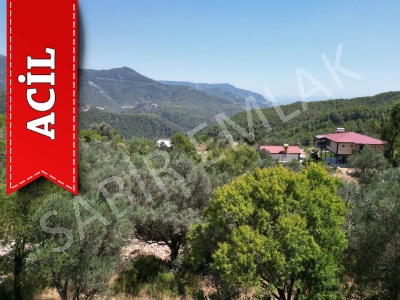 Alanyada Hobi Bahçesine Uygun Acil Satılık Tarla – 212 M² Tek Tapu! Asmaca Mah