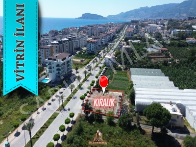 Alanya Kestel Kiralık Arsa 1000 M2 Mah