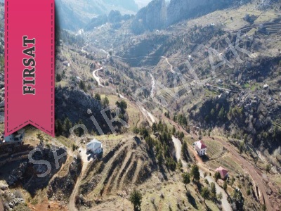 Alanya Şıhlar Çayarası Yaylasında Satılık Tarla Uygun Fiyata Mah