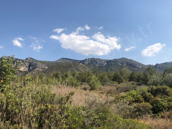 Bellapaıs (Beylerbeyi) Girne (Kyrenıa) Satılık Arazi |  8028M2 750.000£ İmarlı  Resim-5