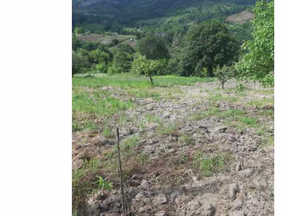 Turyap Özcan Çakırdan Sermayecik De Meyva Bahcesi Konteynırlı Satılık Bağ Altınova Köyü