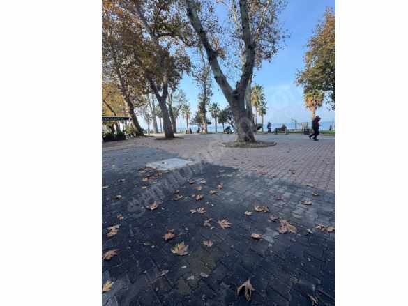 Modern Dokunuşlarla Şehir Yaşamının En Şık Hali: Gazipaşa Cadmodern Satılık Daire Merkez Bahçelievler Mah