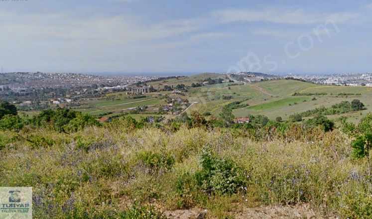 Yalova Safran Karatepe 1705 M2 Satılık Arazi Arsa Merkez Bağlarbaşı Mah