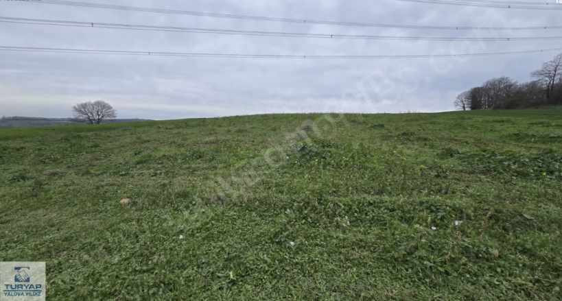 Sakarya Salmanlıda Satılık Tarla Adapazarı Salmanlı Mah