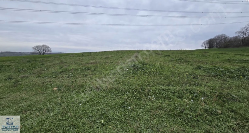 Salmanlı Mah. Adapazarı Satılık Tarla | 2.750.000Tl Resim-3