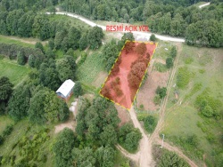 Merkez Güneyköy Mah-Güneyköy Köyü. Satılık Tarla 1905 M2