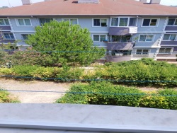 Çınarcık Aliye Hanım Mah-Esenköy Köyü. Satılık Daire 115 M2 | 2. Kat | 2 Banyo