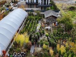 Termal Köyiçi Mah-Akköy Köyü. Satılık Arsa