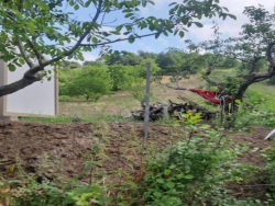 Altınova Sermayecik Köyü Satılık Bağ 2708 M2