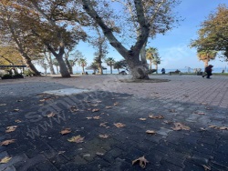 Merkez Bahçelievler Mah. Satılık Daire 180 M2