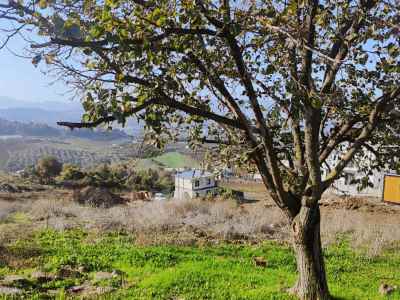 Land For Sale in  Turkey, Yalova, Downtown, Adnan Menderes neighborhood , 361 m2