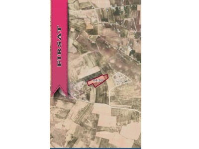 Satılik 32 Dönüm Tek Tapu Tarla Satılık Arazi Erciş Çelebibağı Mah