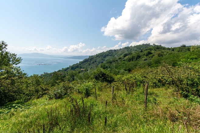 Kaleyaka Mah. Perşembe Satılık Fındık Bahçesi |  4579M2 5.150.000Tl İmarlı  Resim-2