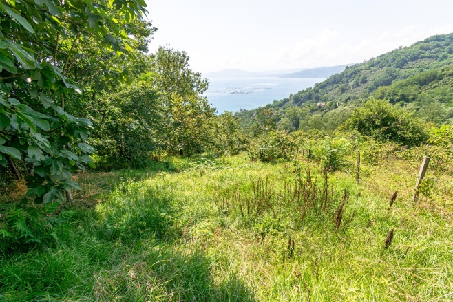 Kaleyaka Mah. Perşembe Satılık Fındık Bahçesi |  4579M2 5.150.000Tl İmarlı  Resim-4