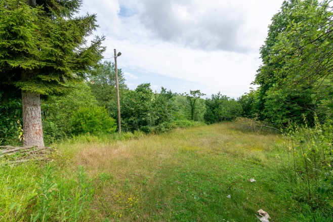 Terzili Mah. Altınordu Satılık Arazi |  14744M2 30.000.000Tl Resim-5