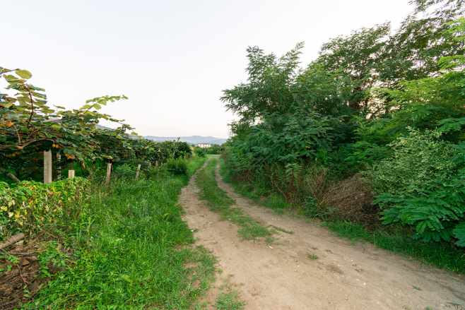 Ordu Perşembe Efirli Mah 579M² Satılık Arsa Yatırımlık Oremlaktan