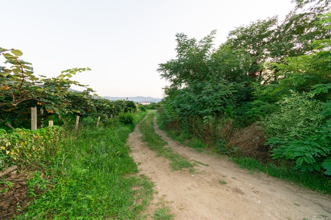 Efirli Mah. Perşembe Satılık Arsa |  579M2 5.600.000Tl İmarlı  Resim-3